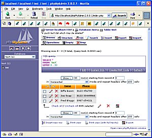 sqlmyadmin-screendumpx300.jpg (30021 bytes)